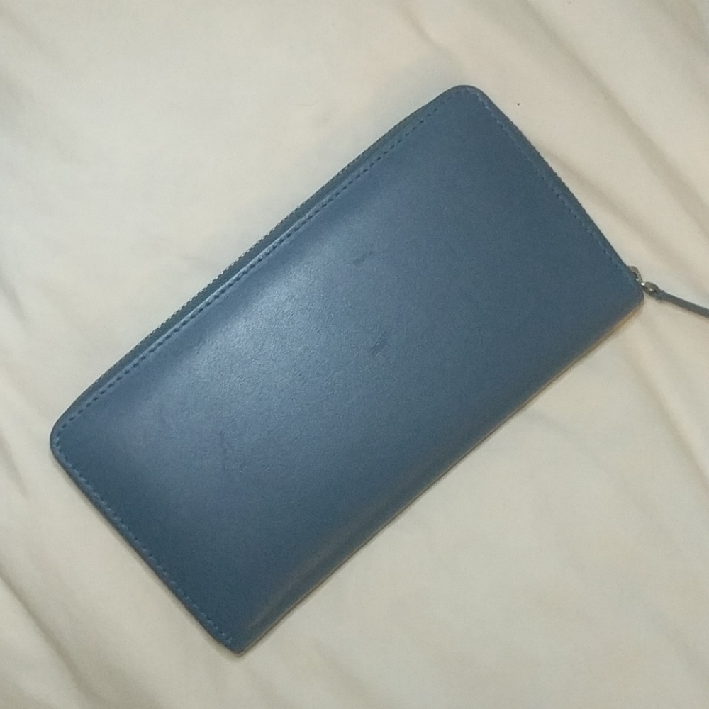 Everlane Sky Blue Wallet
